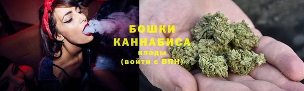 шишки Чердынь