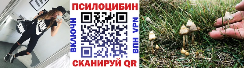 наркота  Миасс  Галлюциногенные грибы Cubensis 
